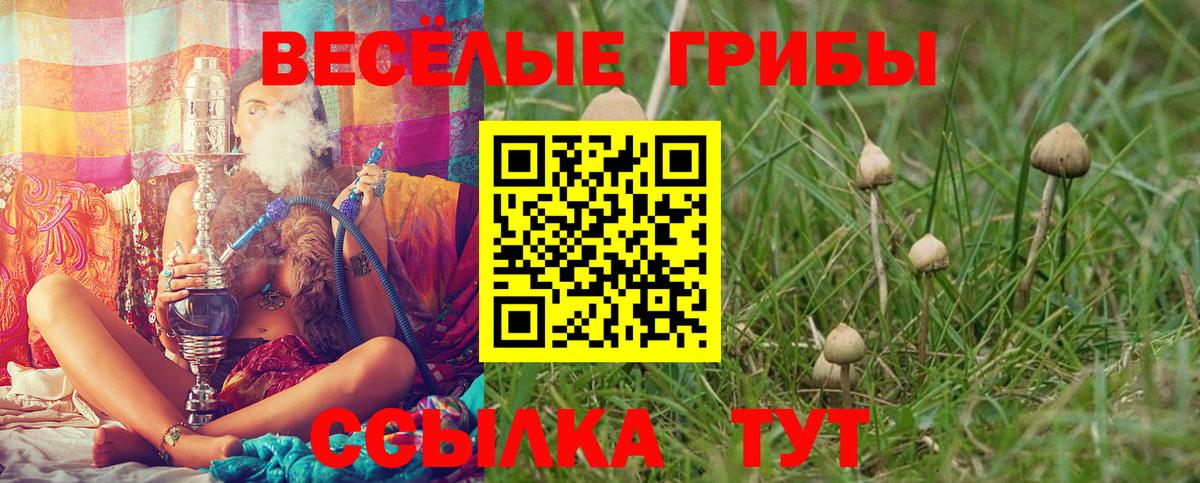 Галлюциногенные грибы Magic Shrooms Бор